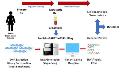 Clinicopathologic features, genomic profiles and outcomes of younger vs. older Chinese hormone receptor-positive (HR+)/HER2-negative (HER2-) metastatic breast cancer patients